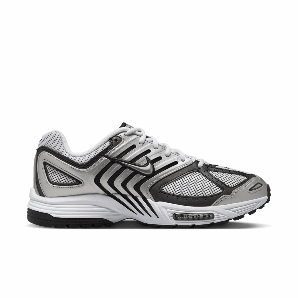 Nike Air Pegasus 2005 - 'Metallic Silver/Metallic Silver'