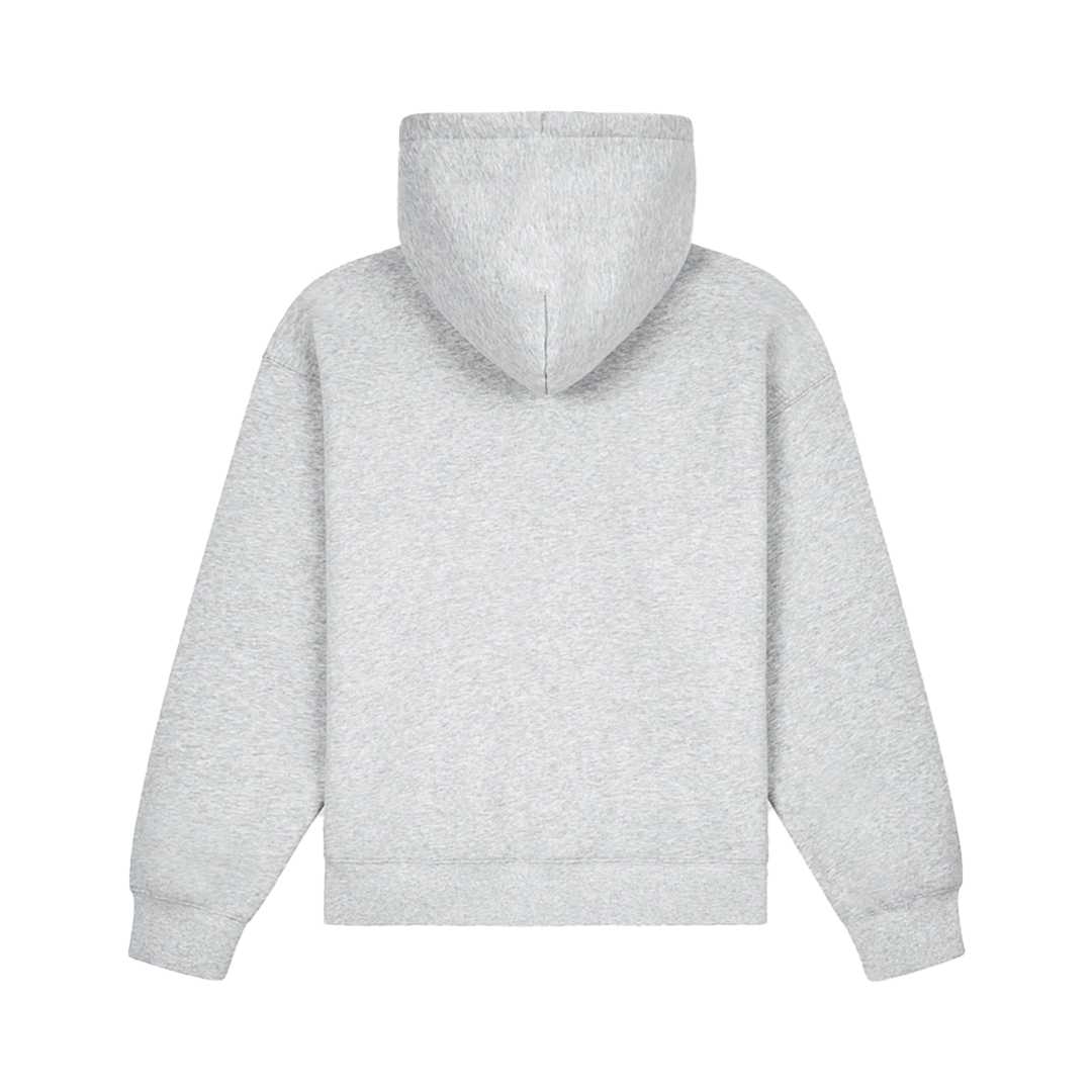 Paper Planes Planes Script Zip Hoodie - 'Crew Heather Grey'